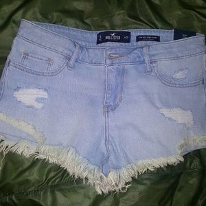 Hollister Short Shorts